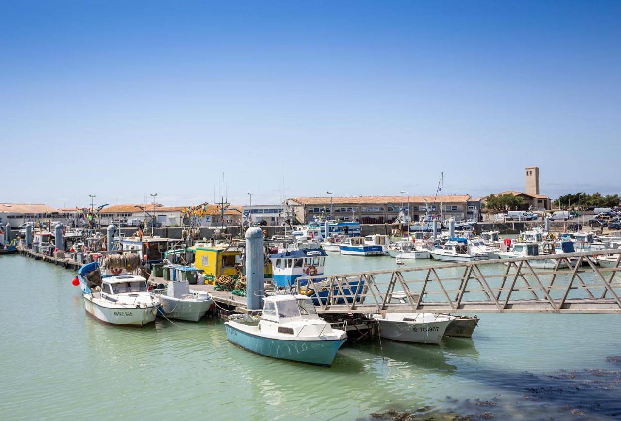 Huttopia Oléron Les Chênes Verts in Dolus-d'Oléron, Côte de Beauté