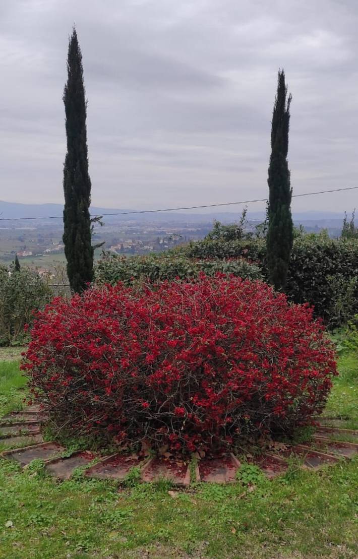 Villa per 4 persone, con giardino e terrazza a San Miniato