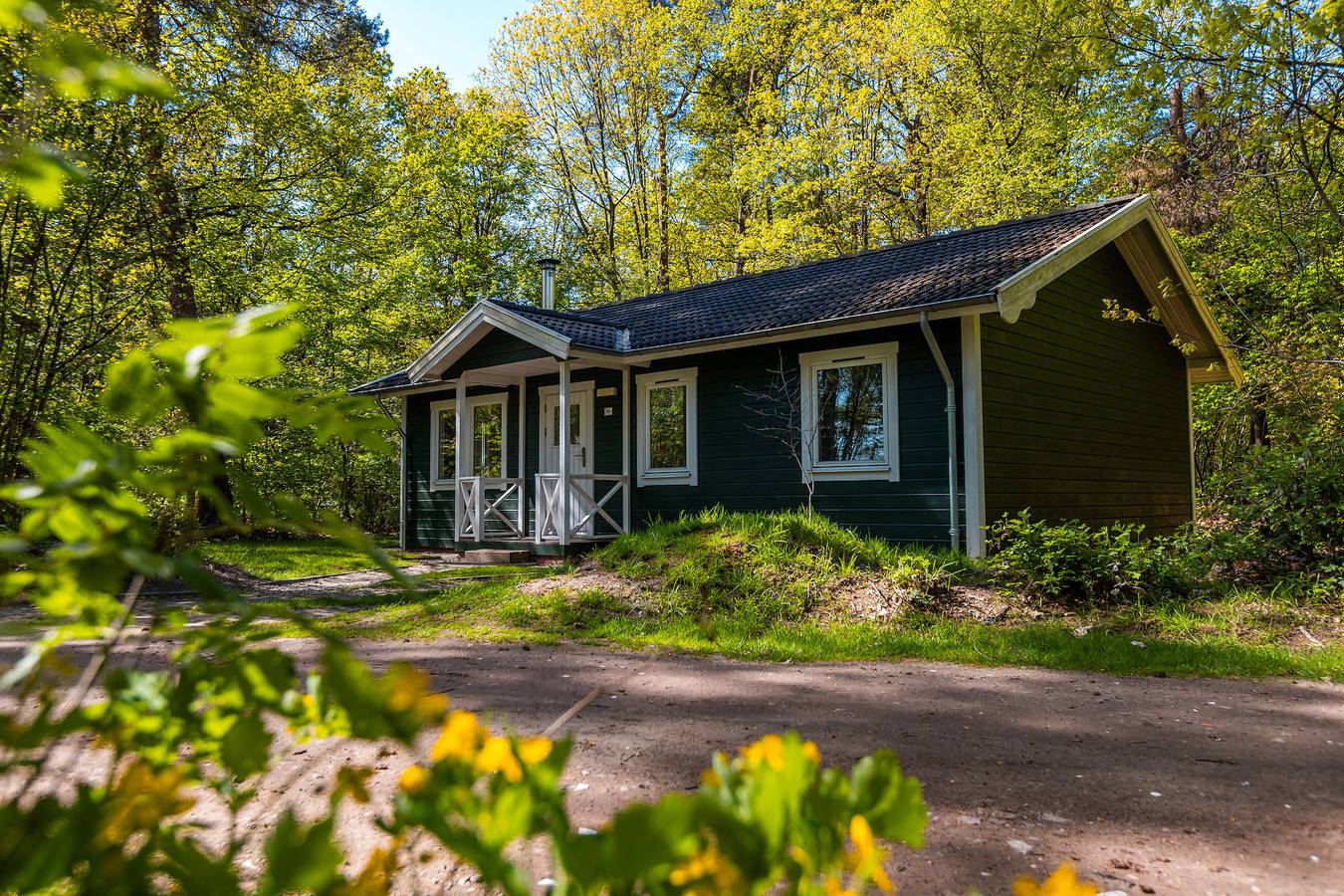 Vakantiepark De Wiltzangh — Vennenborg Lodge Met Hottub | 6 personen in Nationaal Park Dwingelderveld
