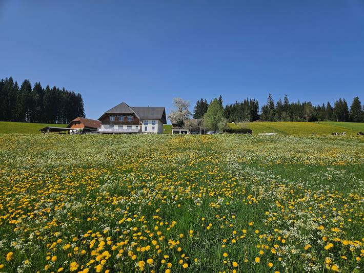 Ferienwohnung für 2 Personen, mit Garten in Titisee-Neustadt - 2