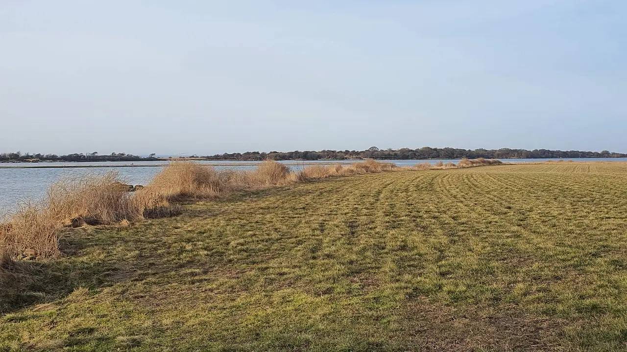 Vacation house for 7 people with terrace in Swedish Baltic Sea