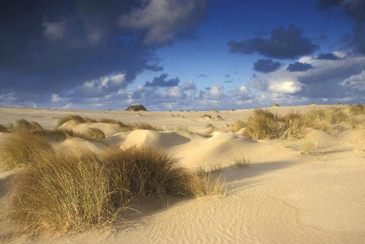 Ara Dune Hotel in Adinkerke, La Panne