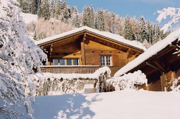 Ferienhaus für 9 Personen, mit Balkon und Whirlpool sowie Terrasse und Garten