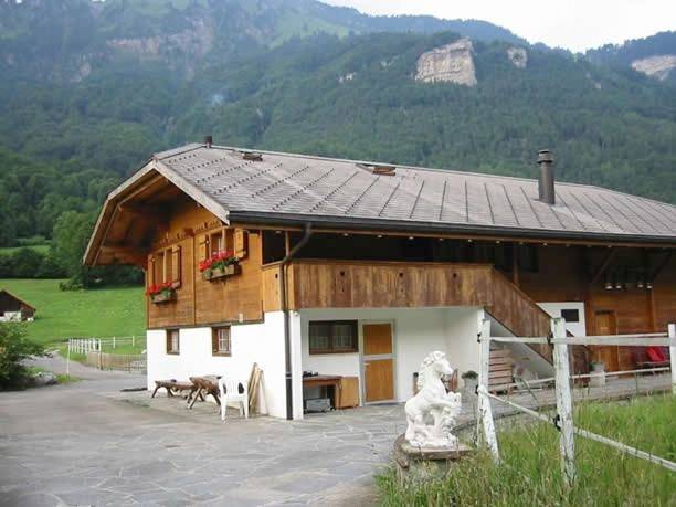 Appartement entier, Eichhof Brienzwiler Berner Oberland in Brienzwiler, Arrondissement administratif d'Interlaken-Oberhasli
