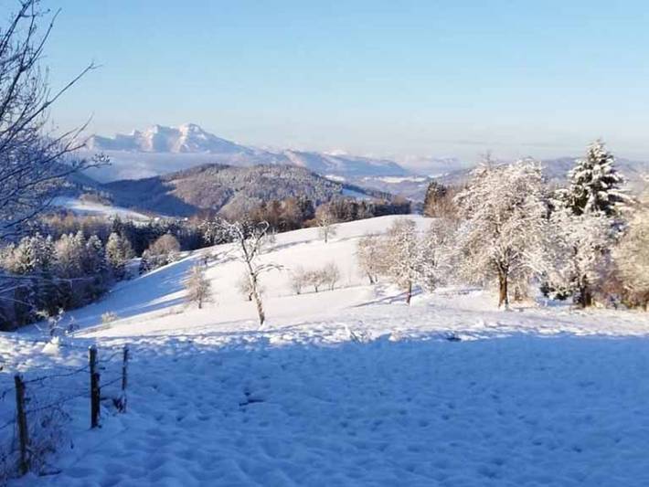 Ferienwohnung für 3 Personen, mit Balkon und Seeblick in Weyregg am Attersee