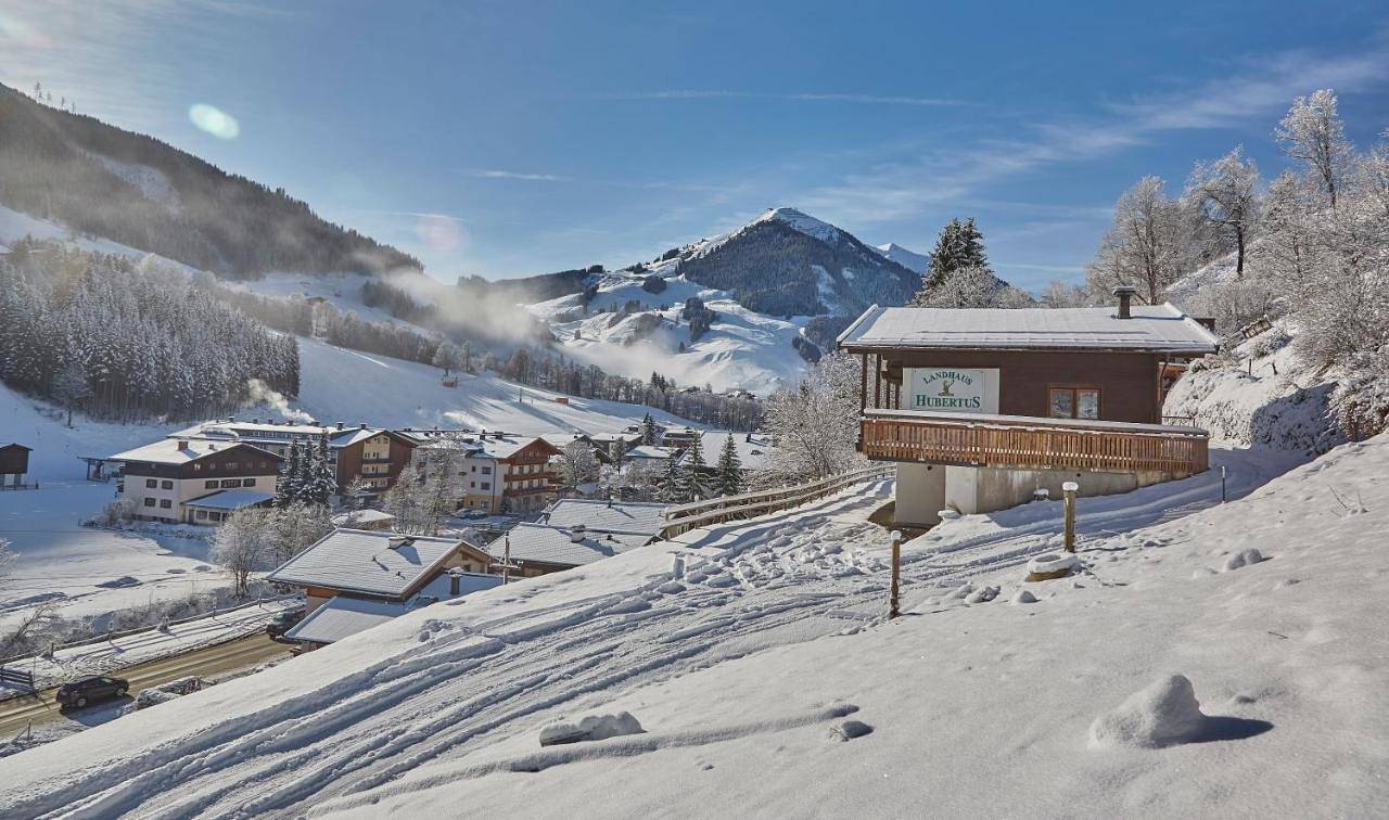 Ganze Wohnung, Chalet Lodge Hubertus in Hinterglemm, Saalbach-Hinterglemm