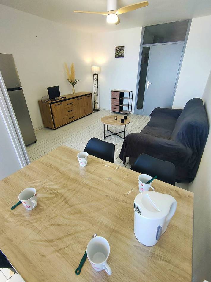 Entire holiday apartment, Panoramic Sea View 2-Bed Apt, Central, Beach & Parking 6Arax in Canet-en-Roussillon, Côte d'Améthyste