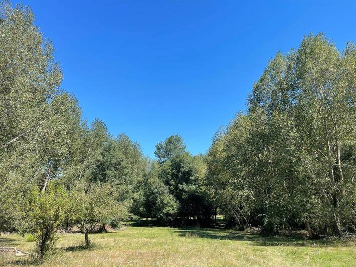 Location de vacances pour 5 personnes, avec jardin et piscine à Nieul-le-Virouil - 2
