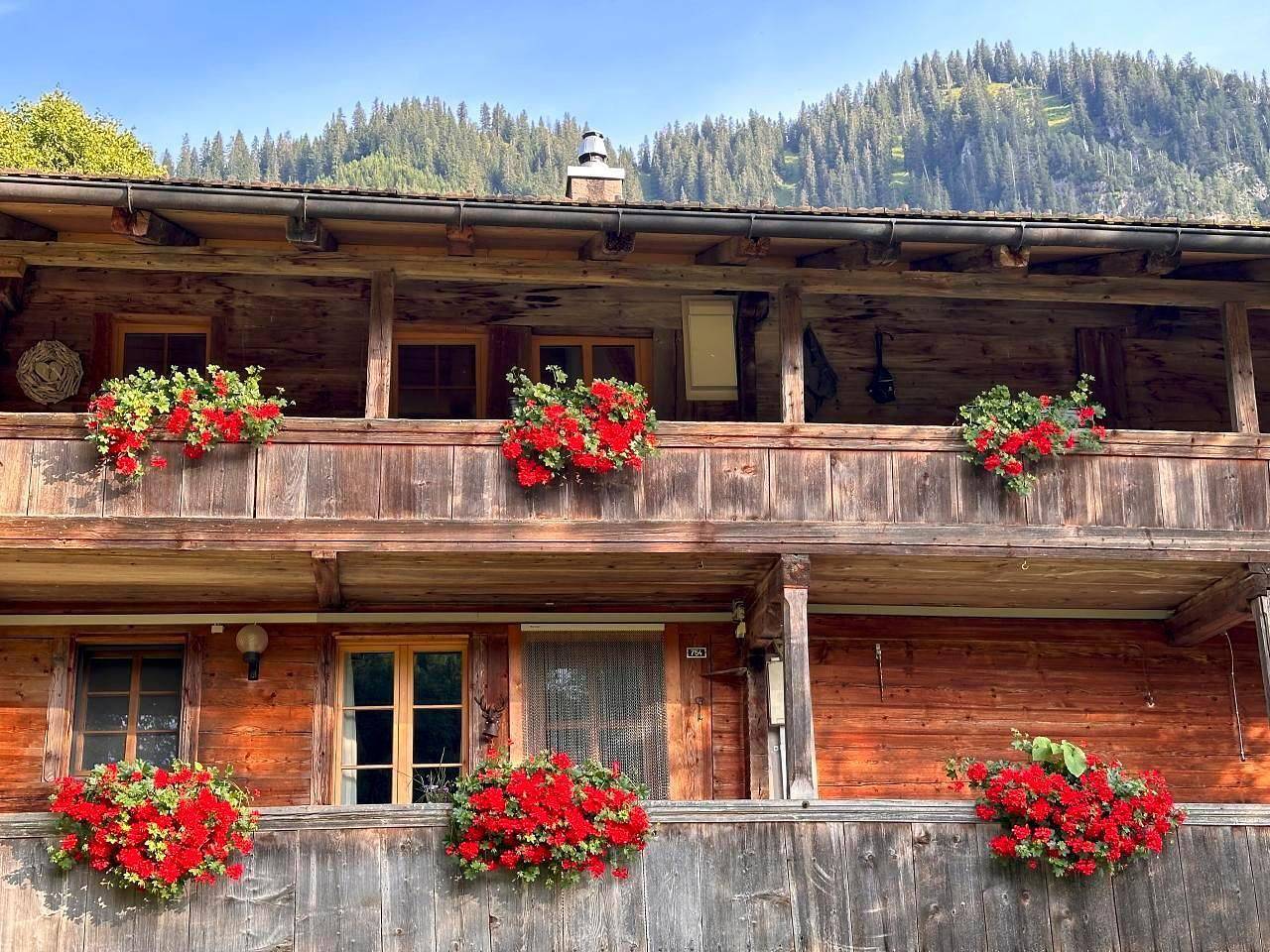 Ganze Ferienwohnung, Chalet am Weg in Habkern, Berner Oberland