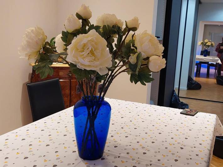 Ferienwohnung für 5 Personen, mit Seeblick und Balkon sowie Ausblick im Elsass - 2