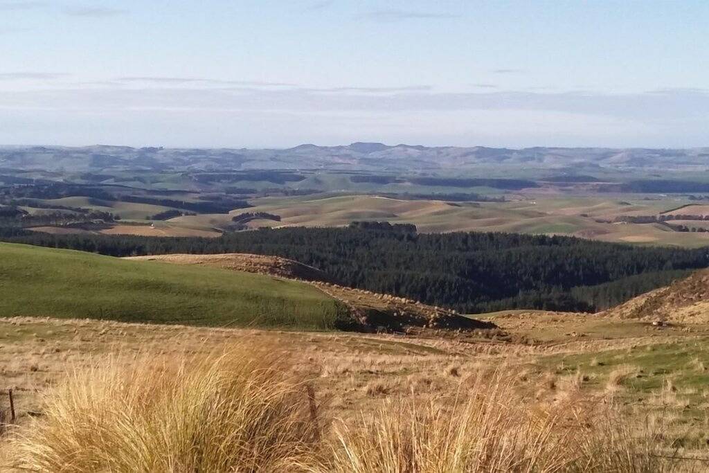 Das kleine rote Schulhaus Bed and Breakfast - Five Forks, Oamaru in Waitaki District