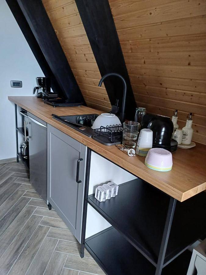 Gîte pour 4 personnes, avec jacuzzi et sauna ainsi que piscine et jardin, animaux acceptés à Alba (Romania) - 3