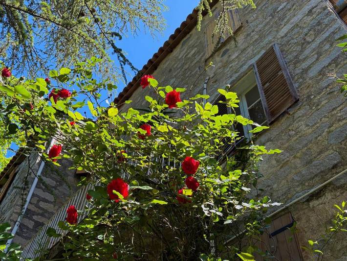 Gîte pour 4 personnes, avec vue ainsi que balcon et jardin à Ucciani - 2