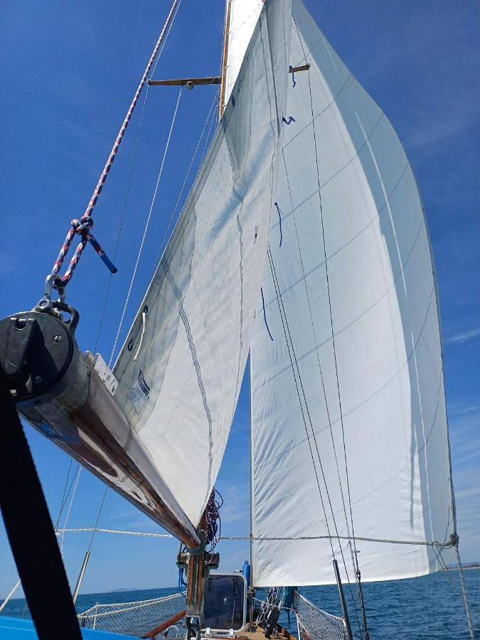 Bateau pour 4 personnes, avec terrasse dans le Gard - 3