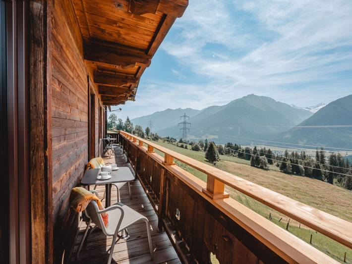 Ferienwohnung für 9 Personen, mit Garten, mit Haustier im Salzburger Land - 3