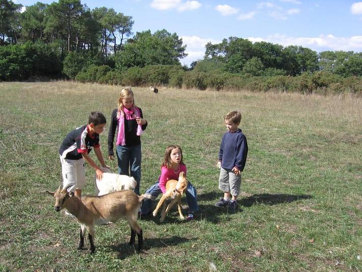 Location de vacances pour 4 personnes, avec jardin et vue, animaux acceptés à La Gacilly - 2