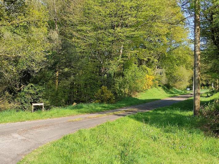 Location de vacances pour 12 personnes, avec piscine et jardin, animaux acceptés à Langoëlan - 2