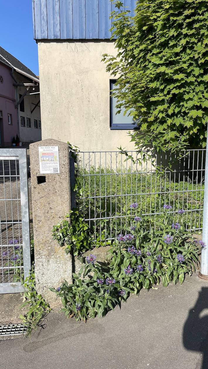 Ferienhaus für 3 Personen, mit Sauna und Balkon, kinderfreundlich in Pirmasens - 3