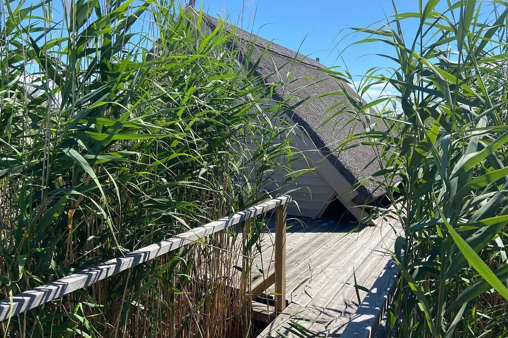 Schilfhütte / Pfahlbau Im Neusiedler See in Rust (Burgenland), Leithaberg