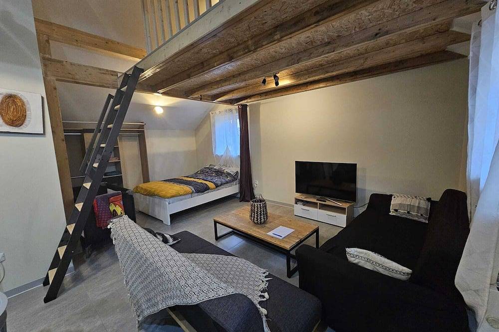 Entire apartment, A 5min du Centre de Colmar, Srudio Neuf in Horbourg-Wihr, Colmar region