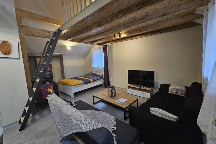 Gîte pour 4 personnes, avec terrasse à Horbourg-Wihr - 3