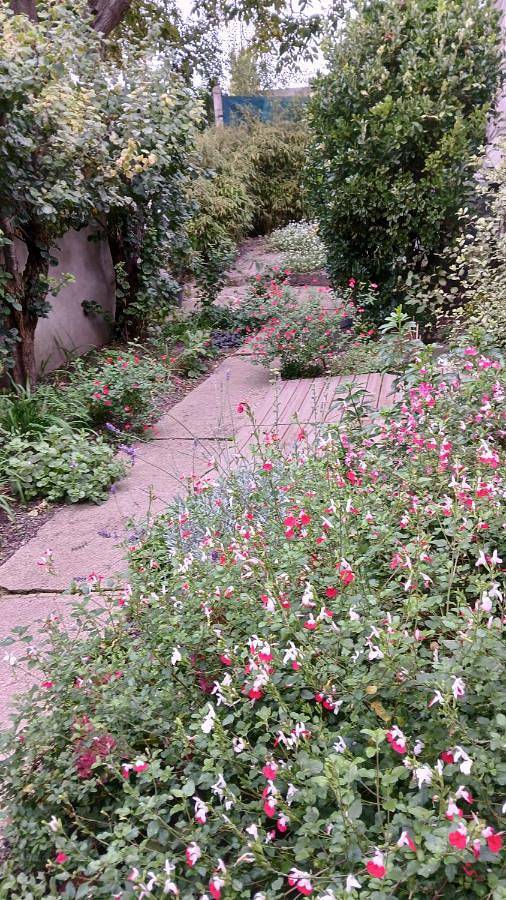 Gîte pour 2 personnes, avec terrasse, animaux acceptés à Auxi-le-Château - 2