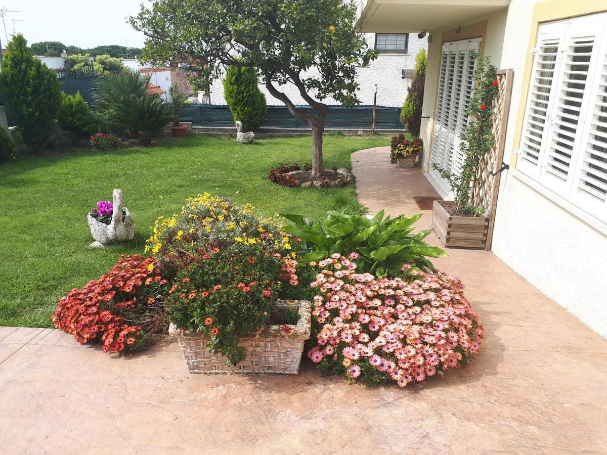 Bed and Breakfast Angolo Fiorito in Civitavecchia, Provincia di Roma