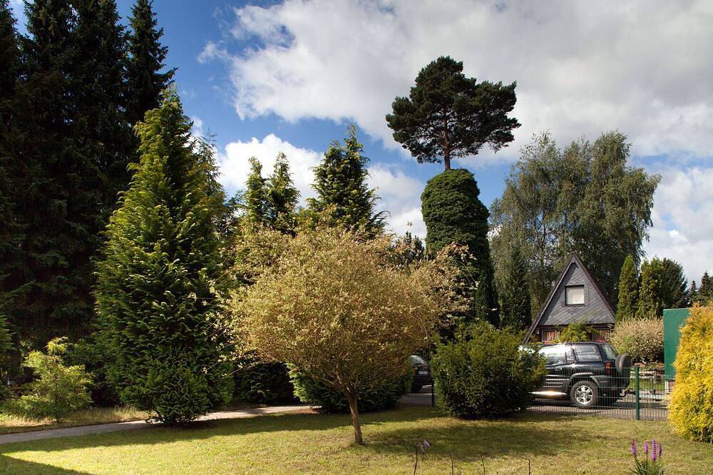 Traumhaftes Ferienhaus bis max 4 Personen, Badesee in der Nähe in Winsen (Aller), Lüneburger Heide
