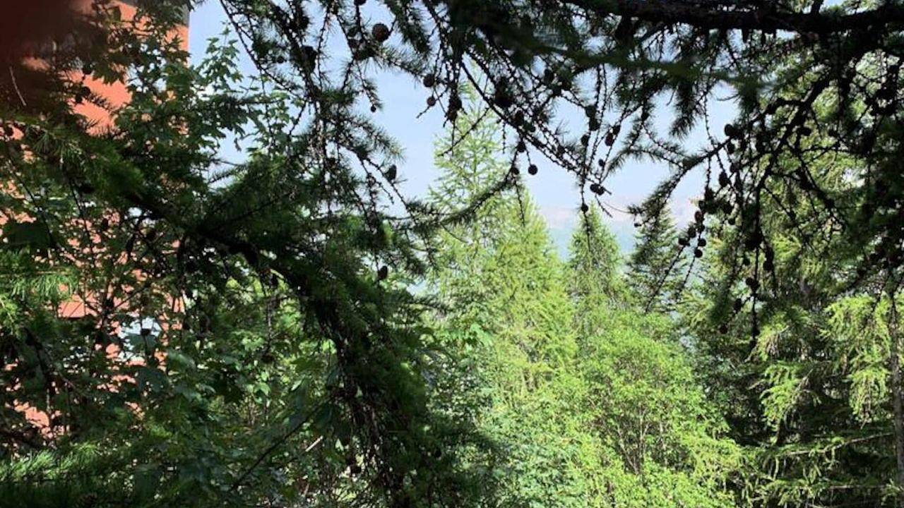 Entire holiday apartment, Ferienwohnung für 6 Personen (60 m²) in Praloup in Pra-Loup, Uvernet-Fours