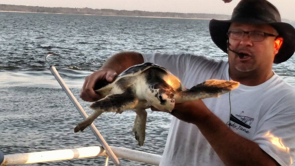 Beste Lage! 0. 15 Meile zum Strand; kurzer Spaziergang zum Dorf, K & P, und Haustiere in St. Simons Island, Glynn County
