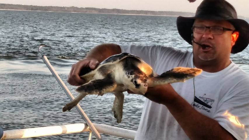 Cottage für 4 Personen, mit Balkon/Terrasse, mit Haustier - 1