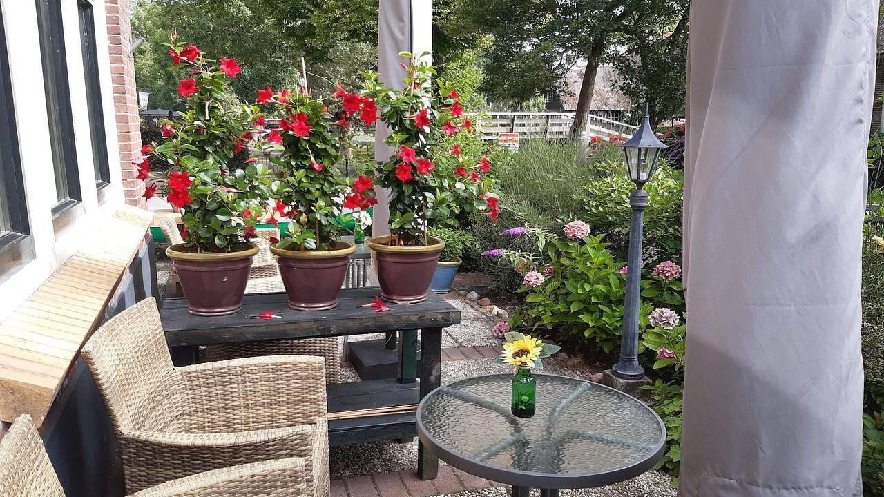 Ganze Ferienwohnung, Ferienwohnung für 3 Personen (50 m²) in Giethoorn in Giethoorn, Nationalpark Weerribben-Wieden