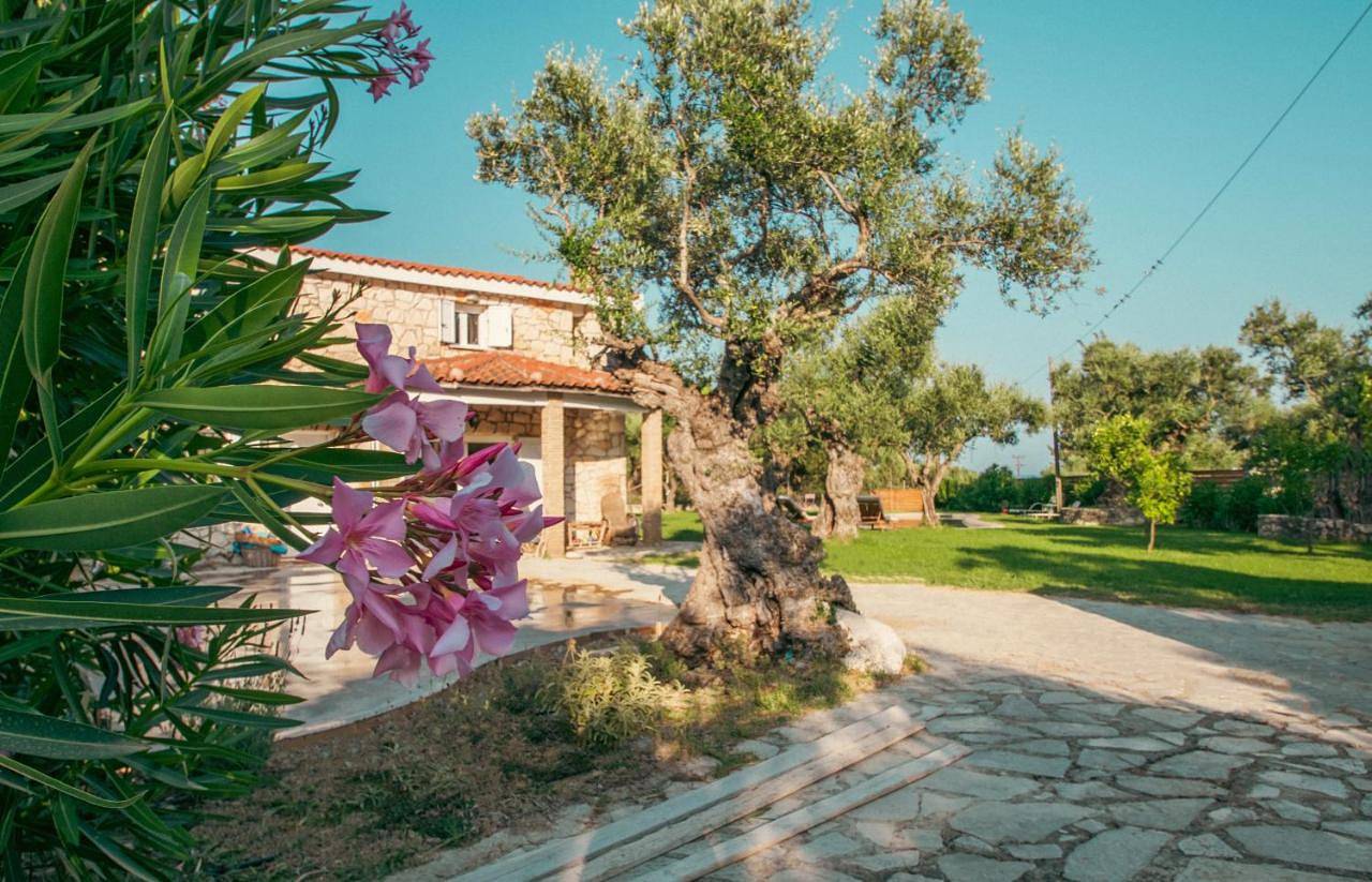 Il Greco in Lithakia, Laganas