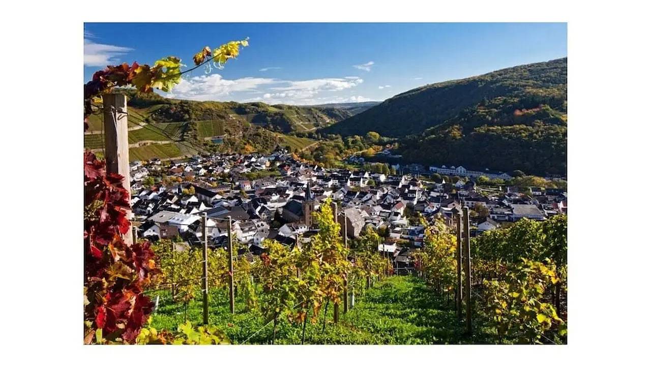 Ferienhaus für 4 Personen (45 m²) in Dernau in Dernau, Ahrtal