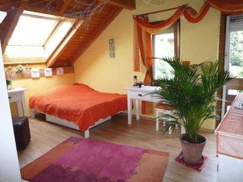 Bed & Breakfast Wepfer in Grüt (Gossau ZH), Gossau (ZH)
