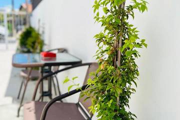 Holiday Rental for 4 People in Larnaca, Larnaca District, Photo 4