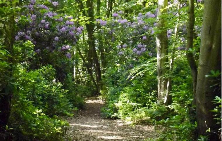 Location de vacances pour 2 personnes à Équemauville - 3