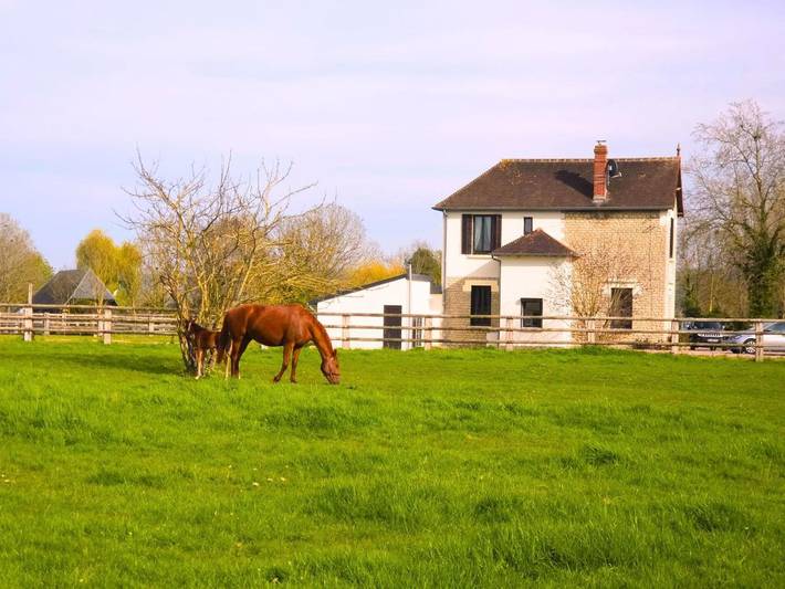 Location de vacances pour 8 personnes, avec vue et jardin à Hotot-en-Auge - 2