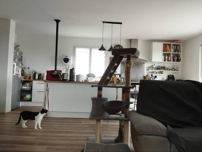 Gîte pour 2 personnes, avec jardin ainsi que terrasse et vue, animaux acceptés à Calmont - 4