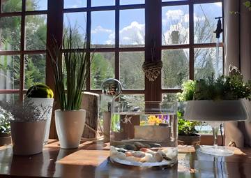 Log Cabin for 4 People in Gy-en-Sologne, Loire Valley, Photo 1