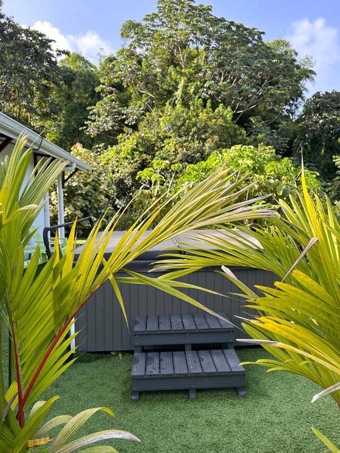 Location de vacances pour 6 personnes, avec jardin ainsi que terrasse et jacuzzi à Gros Morne (homonymie) - 2