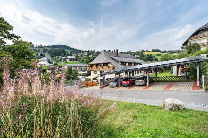 Ferienwohnung für 4 Personen, mit Balkon und Garten sowie Sauna in Todtnau