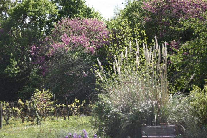 Chambre d’hôte pour 2 personnes, avec jardin dans le Tarn-et-Garonne - 2