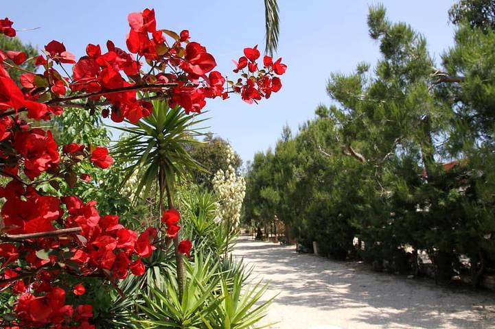 Villa Beatrice, Torre Guaceto, Apulia in Brindisi, Salento
