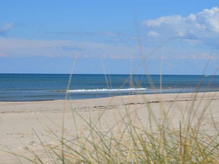 Ferienwohnung für 4 Personen, mit Terrasse, mit Haustier in Göhren - 4