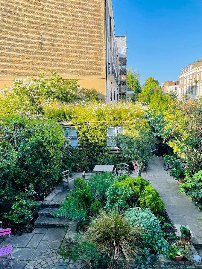 Double Room with Garden View in Camden, London