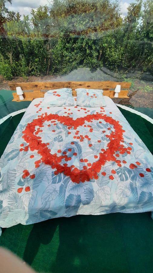 Tente pour 2 personnes, avec sauna et jacuzzi ainsi que jardin et terrasse en Pyrénées-Atlantiques - 4