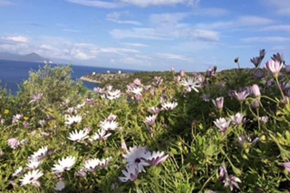 2-Bett-traditionelles renovierte Haus mit Panoramablick auf dem Meer in Kioni, Ithaca in Griechenland