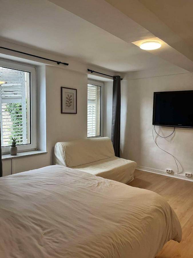 Appartement entier, Studio Cosy Centre-ville de Morhange in Morhange (Moselle), Région de Forbach