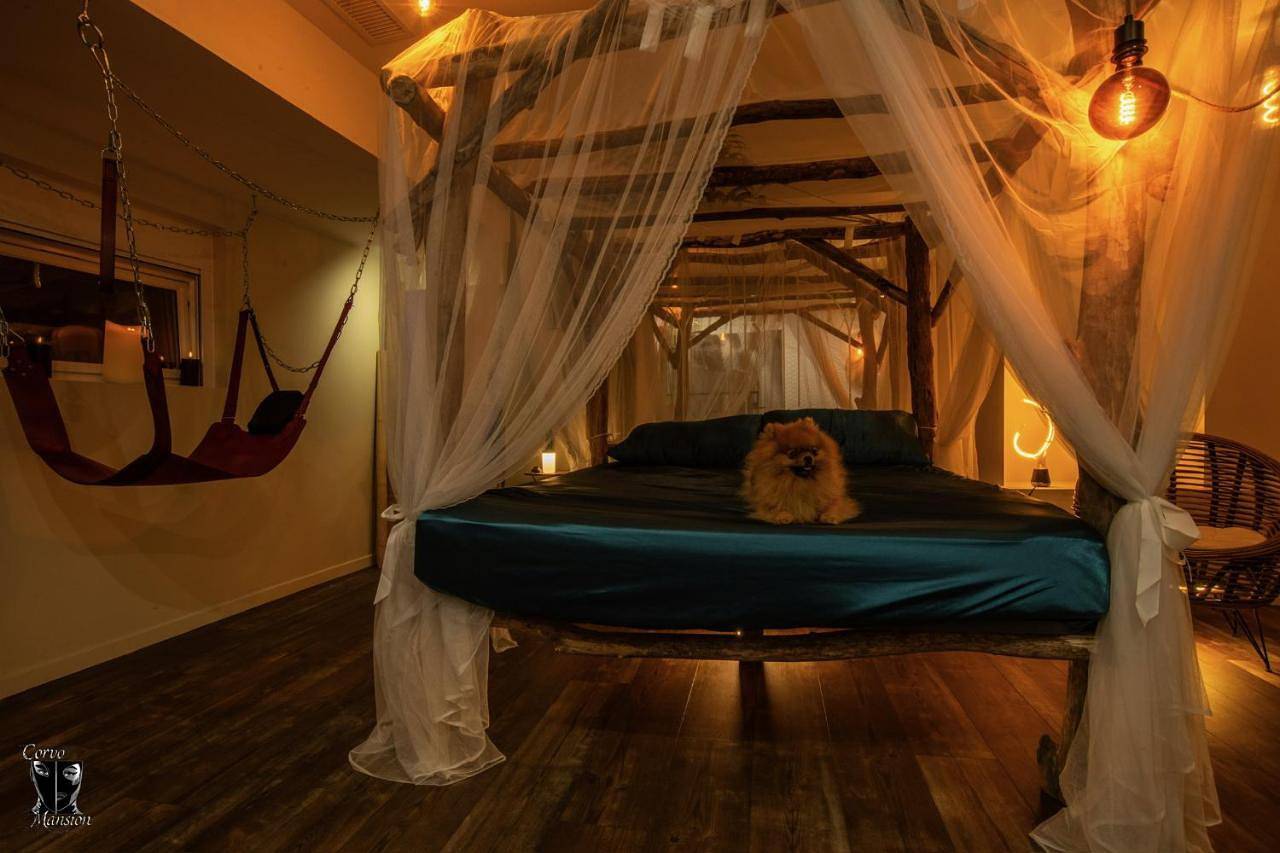 Appartement entier, Love Room Climatisé Spa Jacuzzi Sauna et Donjon - Tanière Dé-Plaisirs in Villefranche-sur-Saône, Beaujolais